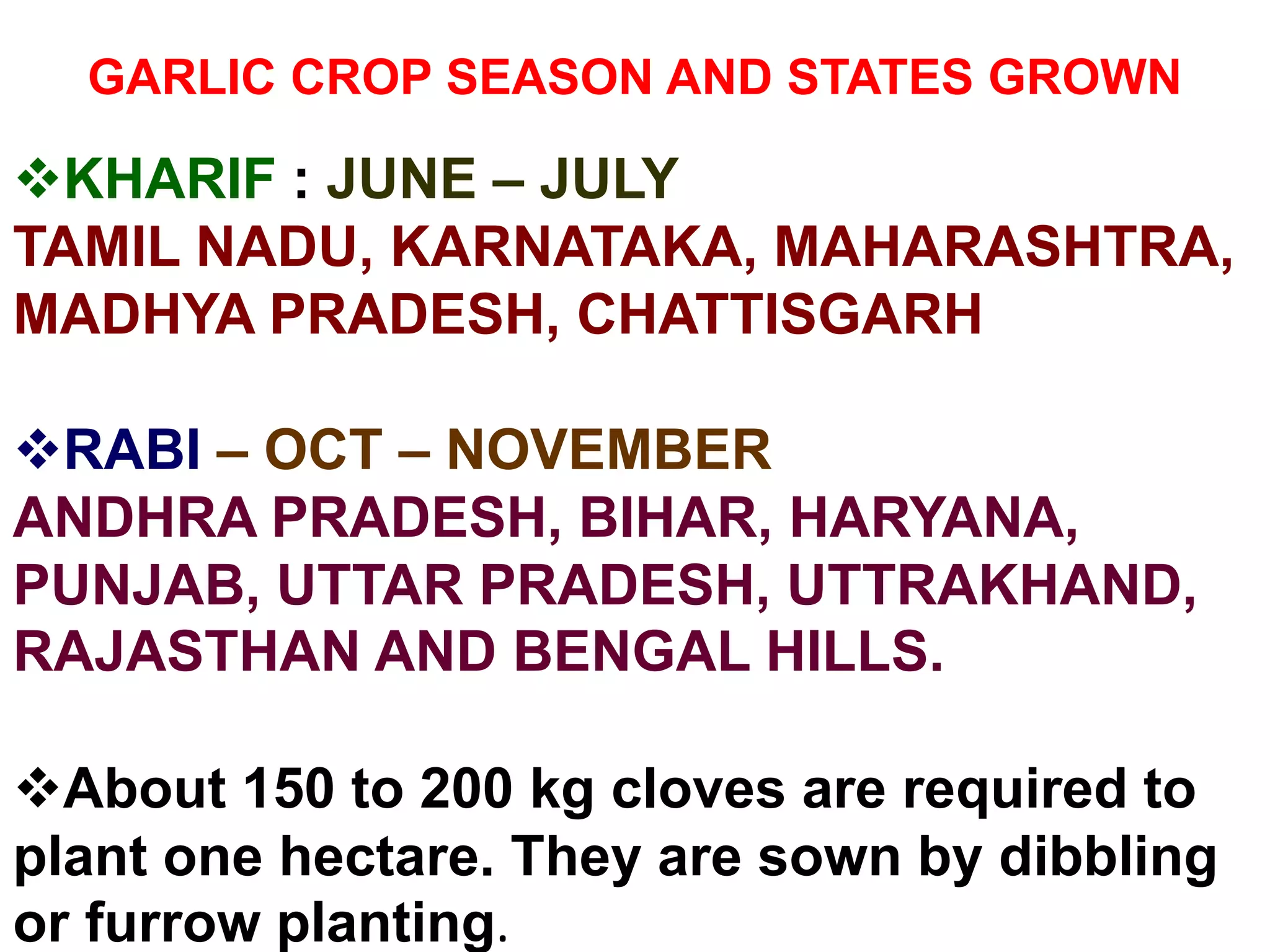 GARLIC CROP SEASON AND STATES GROWN
KHARIF : JUNE – JULY
TAMIL NADU, KARNATAKA, MAHARASHTRA,
MADHYA PRADESH, CHATTISGARH
RABI – OCT – NOVEMBER
ANDHRA PRADESH, BIHAR, HARYANA,
PUNJAB, UTTAR PRADESH, UTTRAKHAND,
RAJASTHAN AND BENGAL HILLS.
About 150 to 200 kg cloves are required to
plant one hectare. They are sown by dibbling
or furrow planting.
 