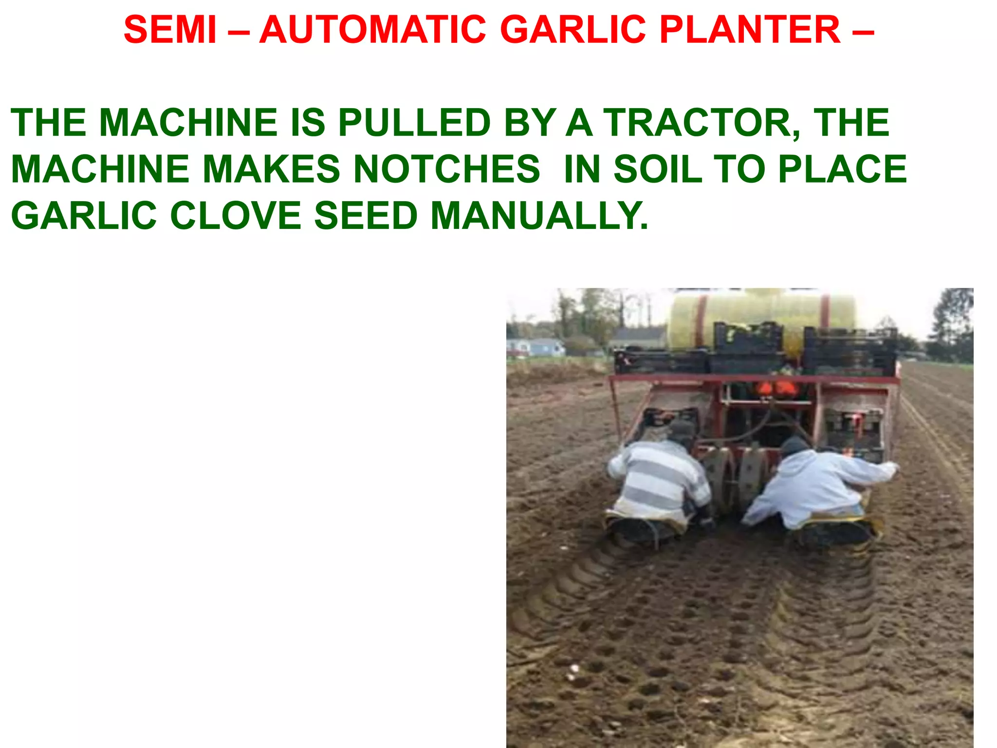SEMI – AUTOMATIC GARLIC PLANTER –
THE MACHINE IS PULLED BY A TRACTOR, THE
MACHINE MAKES NOTCHES IN SOIL TO PLACE
GARLIC CLOVE SEED MANUALLY.
 