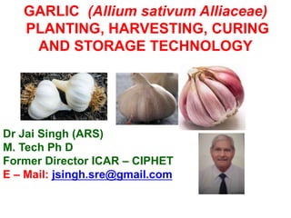 GARLIC (Allium sativum Alliaceae)
PLANTING, HARVESTING, CURING
AND STORAGE TECHNOLOGY
Dr Jai Singh (ARS)
M. Tech Ph D
Former Director ICAR – CIPHET
E – Mail: jsingh.sre@gmail.com
 