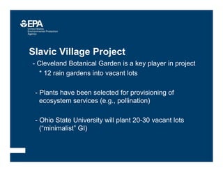 Slavic Village Project
• - Cleveland Botanical Garden is a key player in project
–* 12 rain gardens into vacant lots
- Plants have been selected for provisioning of
ecosystem services (e.g., pollination)
- Ohio State University will plant 20-30 vacant lots
(“minimalist” GI)
 