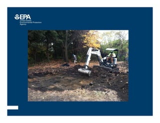 Garmestani   adaptive management for ecosystems