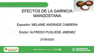 EFECTOS DE LA GARNICIA
MANGOSTANA
Expositor: MELANIE ANDRADE CABRERA
Doctor: ALFREDO PUGLIESE JIMENEZ
27/06/2020
 