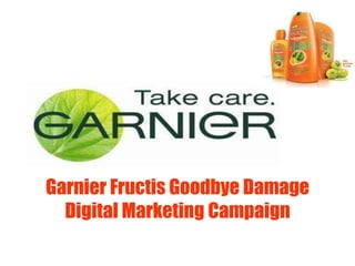 Garnier Fructis Goodbye Damage
Digital Marketing Campaign
 