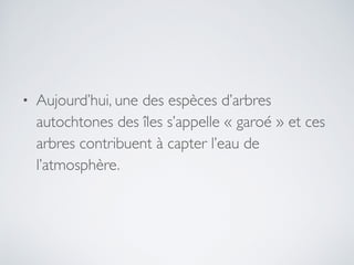 • Aujourd’hui, une des espèces d’arbres
autochtones des îles s’appelle « garoé » et ces
arbres contribuent à capter l’eau de
l’atmosphère.
 