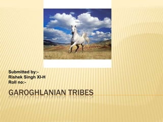 Submitted by:Rishek Singh XI-H
Roll no:-

GAROGHLANIAN TRIBES

 