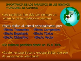 IMPORTANCIA DE LOS PARASITOS EN LOS BOVINOS
  Y OPCIONES DE CONTROL

•Los parásitos han sido por siempre un
 enemigo de la producción pecuaria.

•Estos dañan al animal principalmente por:
 -Efecto Traumatico -Efecto Competitivo
 -Efecto Expoliatris -Efecto Tóxico
 -Efecto Obtructivo   -Efecto Vector

•Se estiman perdidas desde un 15 al 30%

•Existen ectoparásitos y endoparásitos que son
de importancia veterinaria
 