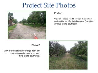 Project Site Photos
 