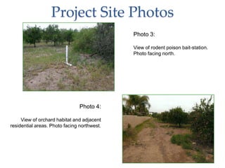 Project Site Photos
 