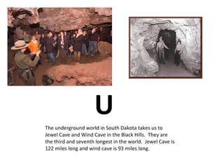 U The underground world in South Dakota takes us to Jewel Cave and Wind Cave in the Black Hills.  They are the third and seventh longest in the world.  Jewel Cave is 122 miles long and wind cave is 93 miles long. 