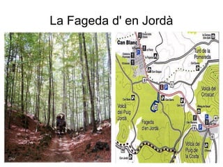 La Fageda d' en Jordà
 