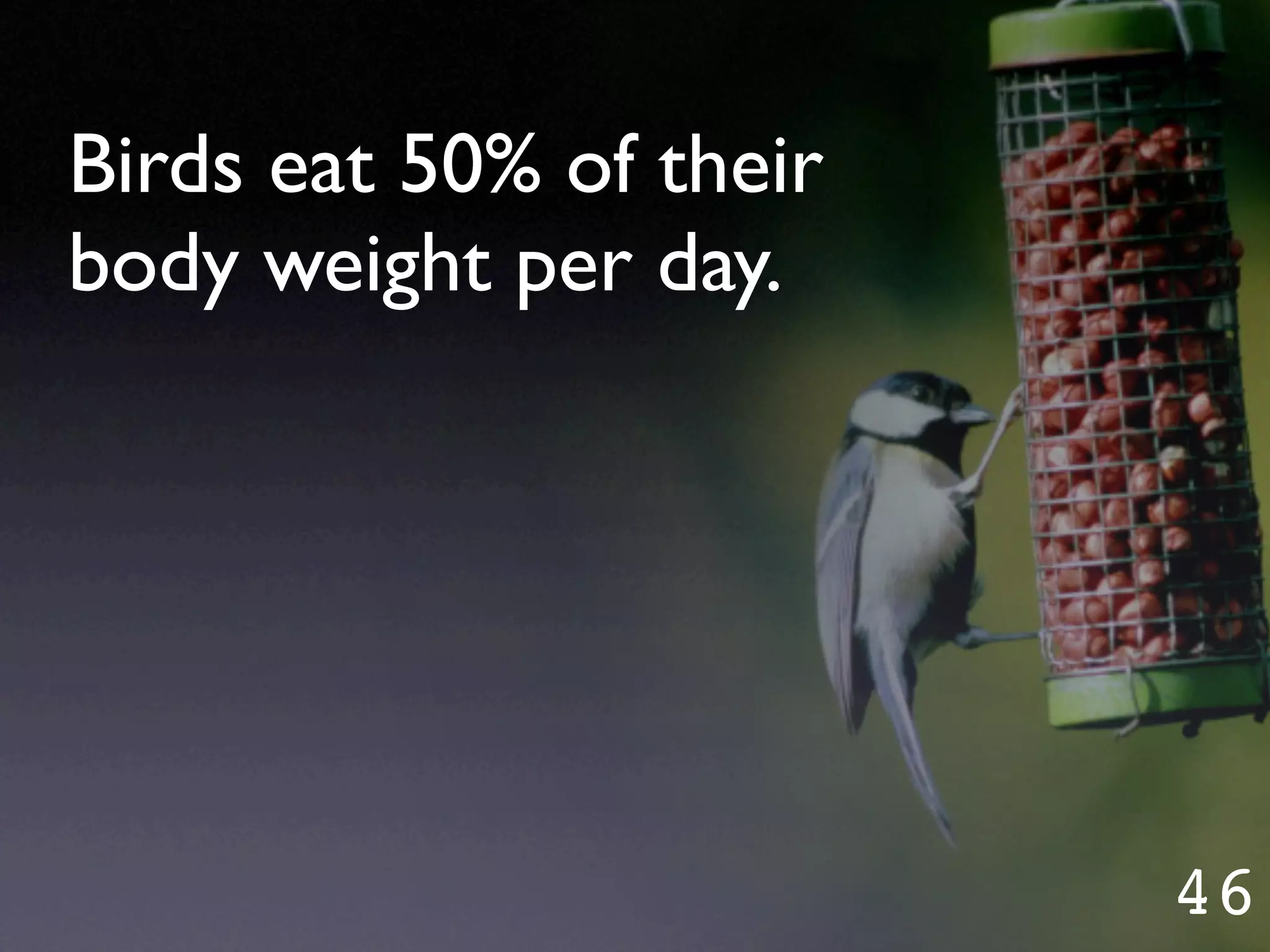 Garr's slides (PPTLive 08)