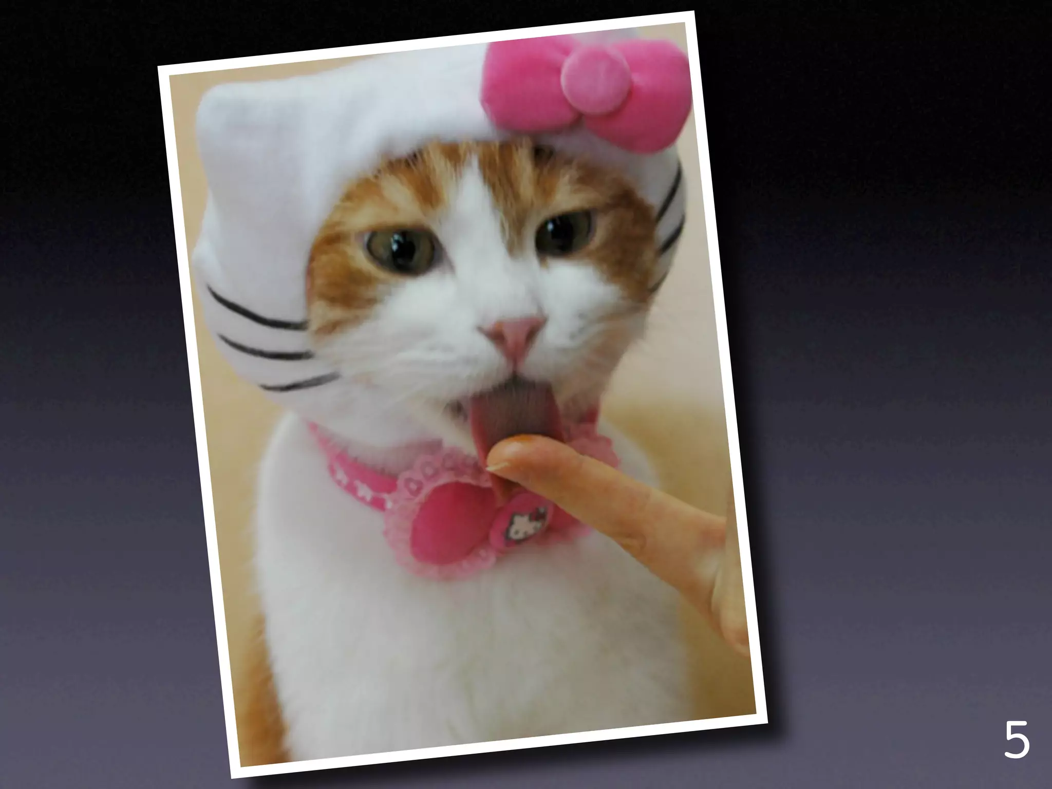 Garr's slides (PPTLive 08)