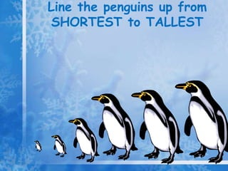 Line the penguins up from
 SHORTEST to TALLEST
 