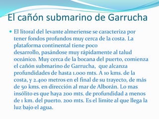 Los dispositivos de embarque de mineralEl agotamiento de las minas y la caída de las cotizaciones del plomo y de la plata en los mercados internacionales conduciría al fin de la “ edad del plomo ’’ en los últimos años del siglo XIX, Clausuradas las fundaciones, la minería del hierro, con un centro muy activo en la cercana Sierra del Bédar, proporcionaría un nuevo impulso a la economía de la comarca….