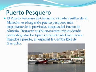 Puerto Pesquero El Puerto Pesquero de Garrucha, situado a orillas de El Malecón, es el segundo puerto pesquero más importante de la provincia, después del Puerto de Almería. Destacan sus buenos restaurantes donde poder degustar los típicos productos del mar recién llegados a puerto, en especial la Gamba Roja de Garrucha.