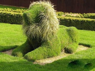 Gartenkunst chine