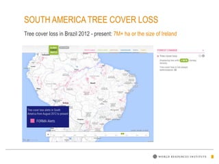 SOUTH AMERICA TREE COVER LOSS
Tree cover loss in Brazil 2012 - present: 7M+ ha or the size of Ireland
 