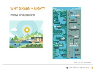 Source: IUCN 2015, App Developer
WHY GREEN + GRAY?
Improve climate resilience
 
