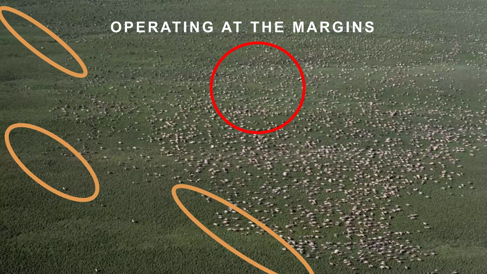 9
OPERATING AT THE MARGINS
 