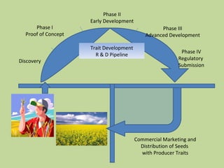 Phase I Proof of Concept Discovery Phase II Early Development Phase III Advanced Development Phase IV Regulatory  Submission Trait Development R & D Pipeline Commercial Marketing and Distribution of Seeds  with Producer Traits 