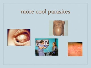 more cool parasites
 