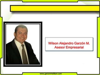www.garzonmwilson.com
Wilson Alejandro Garzón M.
Asesor Empresarial
 