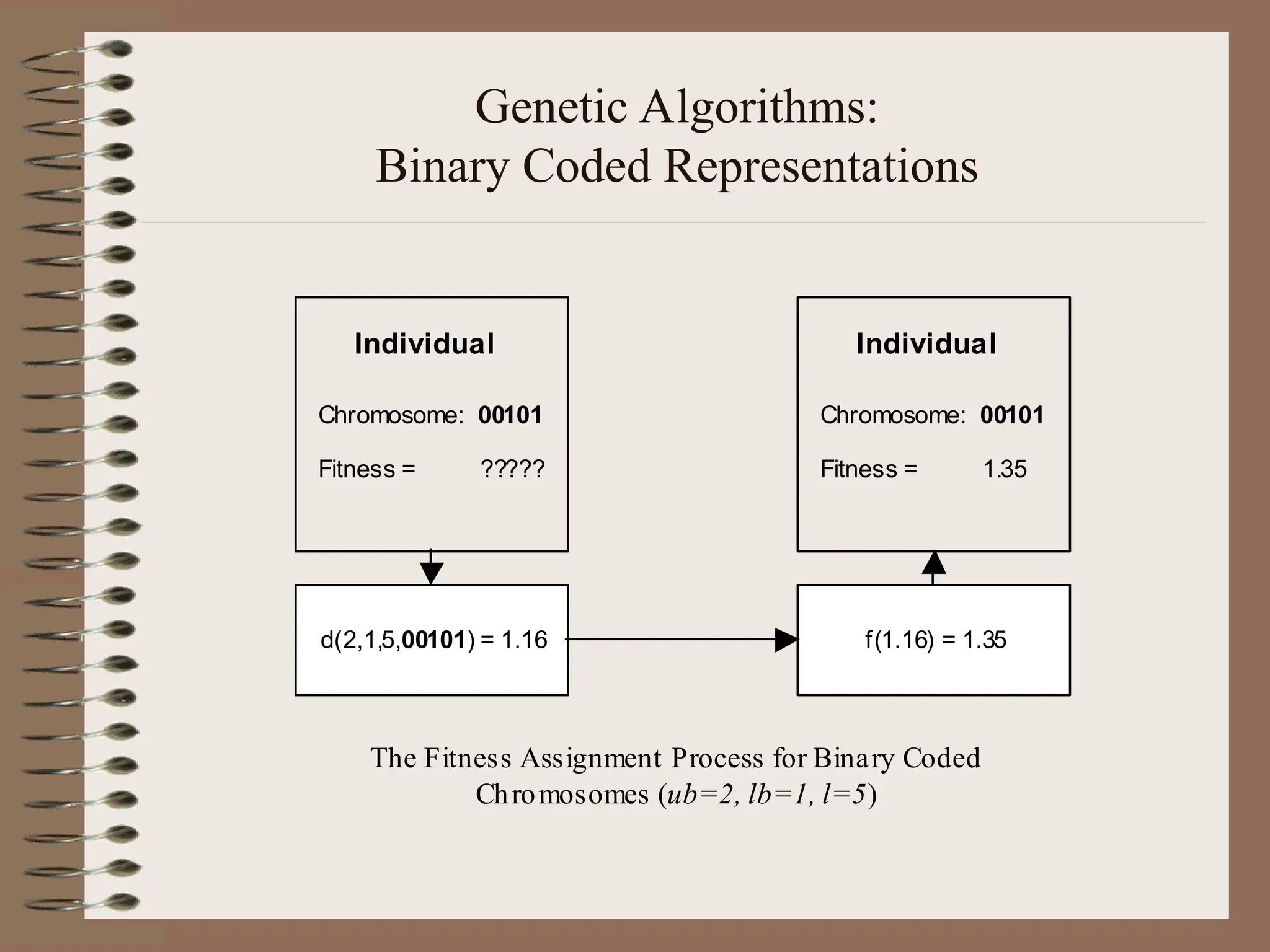 Genetic Algorithms: Binary Coded Representations Individual Chromosome: 00101 Fitness = ????? d(2,1,5,00101) = 1.16 f(1.16) = 1.35 Individual Chromosome: 00101 Fitness = 1.35 The Fitness Assignment Process for Binary Coded Chromosomes (ub=2, lb=1, l=5) 