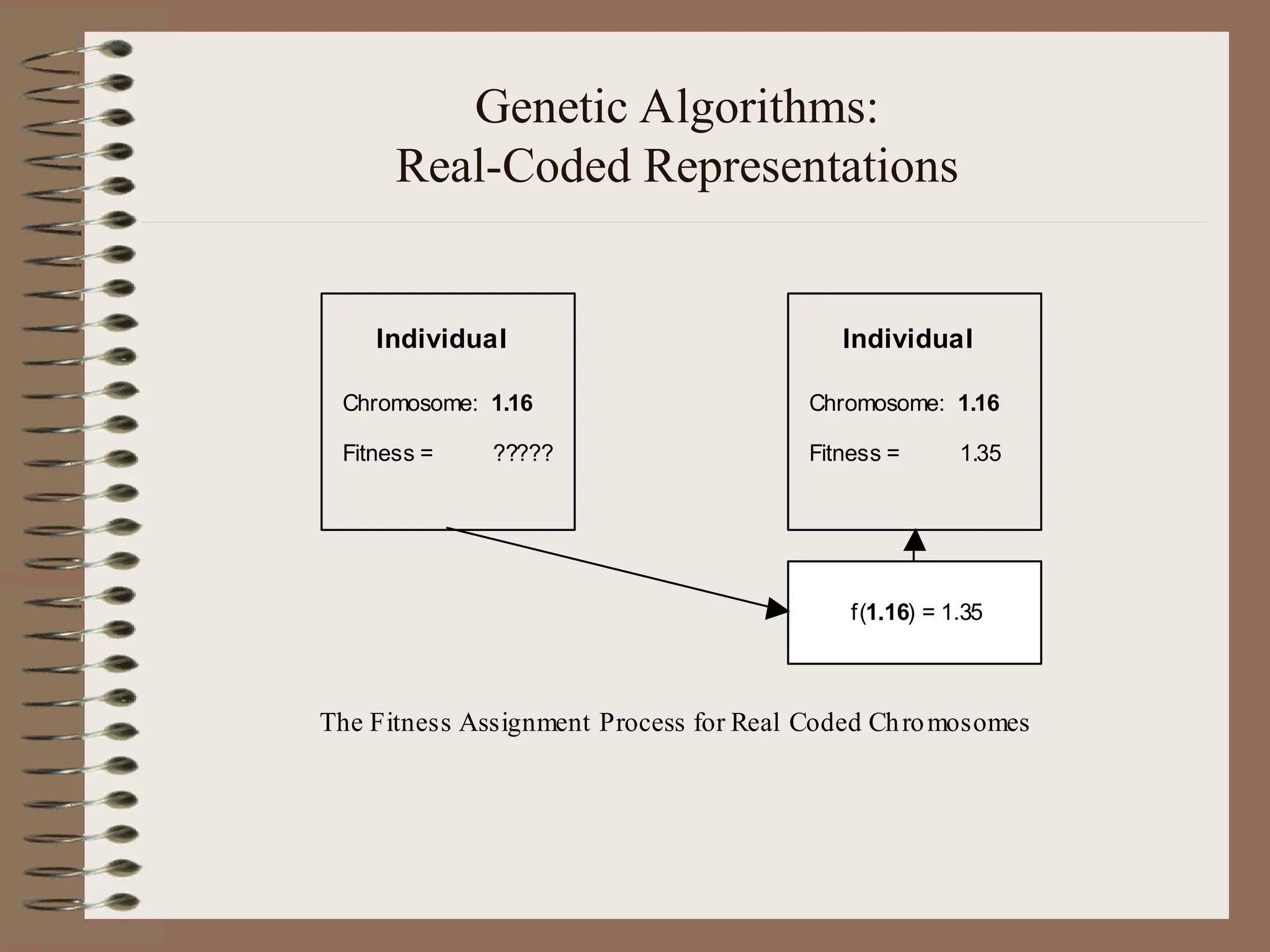 Genetic Algorithms: Real-Coded Representations Individual Chromosome: 1.16 Fitness = ????? f(1.16) = 1.35 Individual Chromosome: 1.16 Fitness = 1.35 The Fitness Assignment Process for Real Coded Chromosomes 