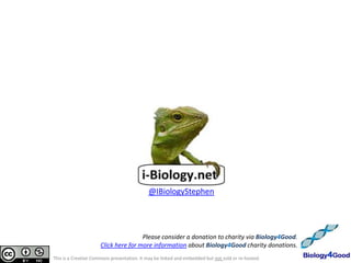 @IBiologyStephen




                                      Please consider a donation to charity via Biology4Good.
                      Click here for more information about Biology4Good charity donations.
This is a Creative Commons presentation. It may be linked and embedded but not sold or re-hosted.
 