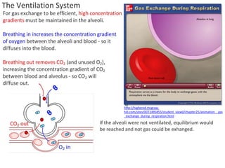 http://highered.mcgraw-
hill.com/sites/0072495855/student_view0/chapter25/animation__gas
_exchange_during_respiration.html
 