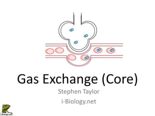 Gas Exchange (Core)
      Stephen Taylor
       i-Biology.net
 