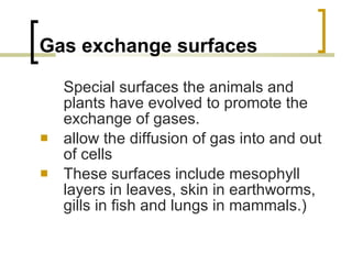 Gas exchange surfaces Special surfaces the animals and plants have evolved to promote the exchange of gases. allow the diffusion of gas into and out of cells These surfaces include mesophyll layers in leaves, skin in earthworms, gills in fish and lungs in mammals.)