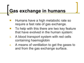 Gas exchange in humans Humans have a high metabolic rate so require a fast rate of gas exchange. To help with this there are two key feature that have evolved in the human system: A blood transport system with red cells containing haemoglobin A means of ventilation to get the gases to and from the gas exchange surface.