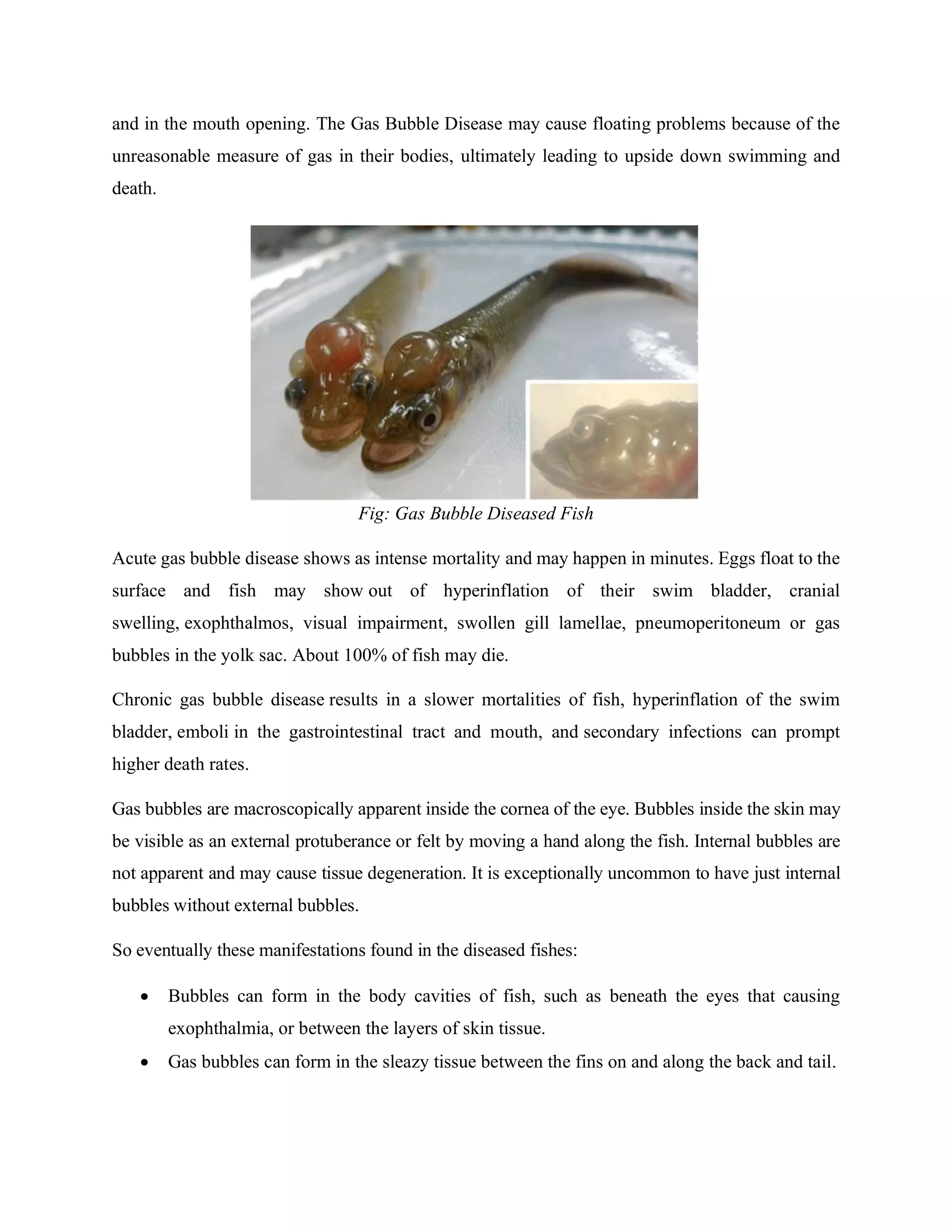 Gas bubble disease of fish | PDF