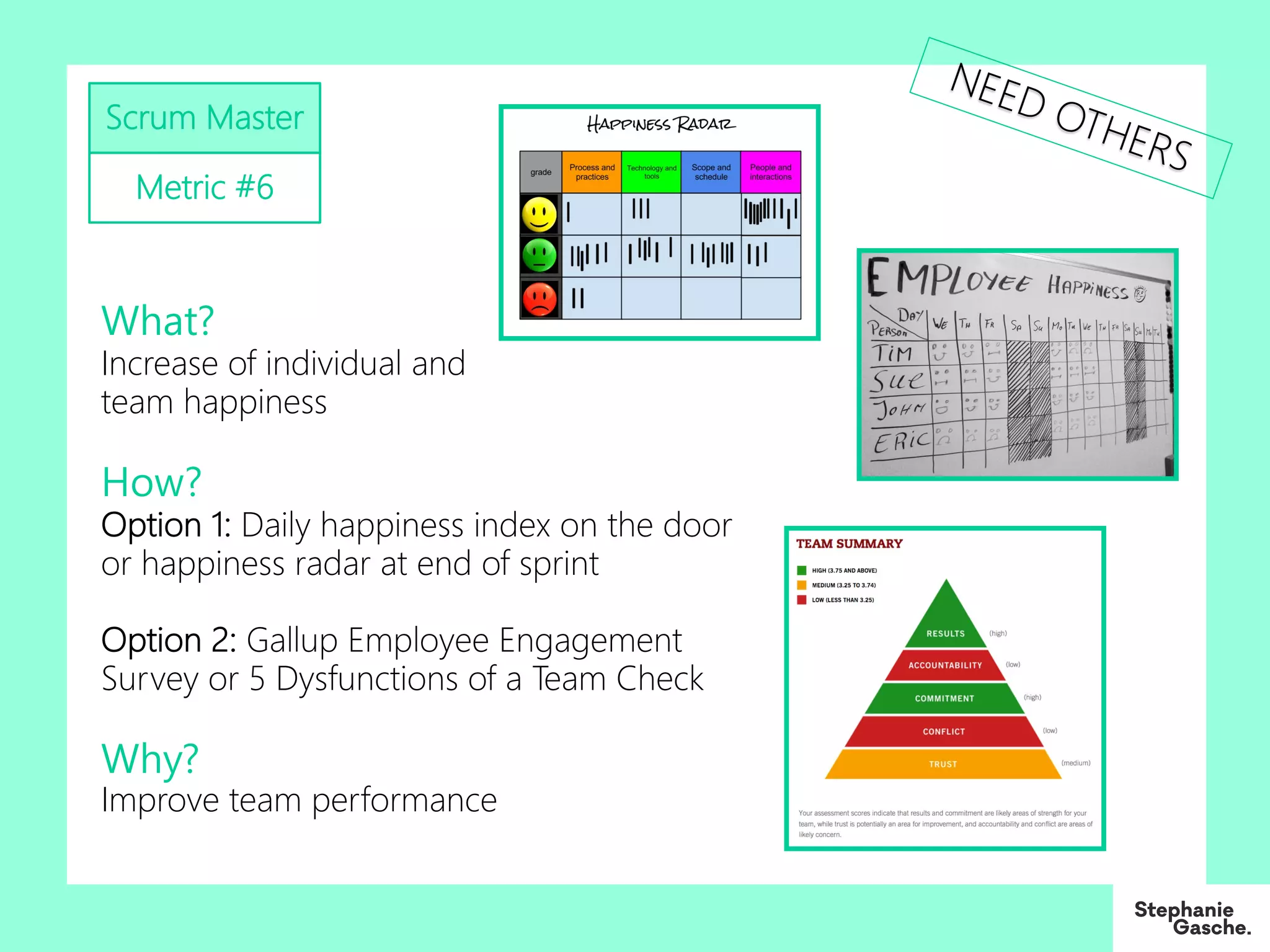 Scrum Master
Metric #6
What?
Increase of individual and
team happiness
How?
Option 1: Daily happiness index on the door
or happiness radar at end of sprint
Option 2: Gallup Employee Engagement
Survey or 5 Dysfunctions of a Team Check
Why?
Improve team performance
NEED OTHERS
 