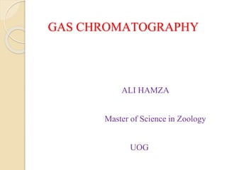 GAS CHROMATOGRAPHY
ALI HAMZA
Master of Science in Zoology
UOG
 