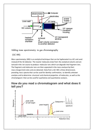 Adding mass spectrometry to gas chromatography
(GC-MS)
Mass spectrometry (MS) is an analytical technique that can be hyphenated to a GC and used
instead of the GC detector. The neutral molecules elute from the analytical column and are
ionised in the ion source to produce molecular ions which can degrade into fragment ions.
The fragment and molecular ions are then separated in the mass analyser by their
mass:charge (m/z) ratio and are detected. Data from a GC-MS is three dimensional,
providing mass spectra that can be used for identity confirmation, to identify unknown
analytes and to determine structural and chemical properties of molecules, as well as the
chromatogram that can be used for qualitative and quantitative analysis.
How do you read a chromatogram and what does it
tell you?
 