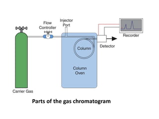 Parts of the gas chromatogram
 