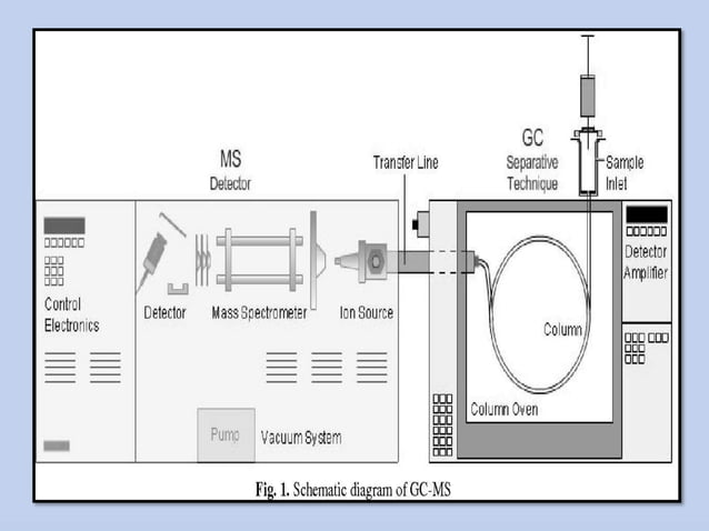 Gas chromatography mass spectrometry (GC-MS) | PPT