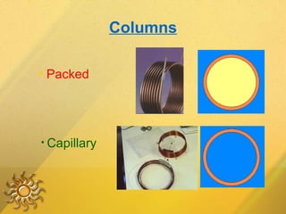 Columns Packed Capillary 
