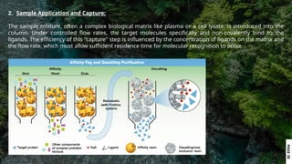 Comprehensive Guide to Gas and Affinity Chromatography in ...