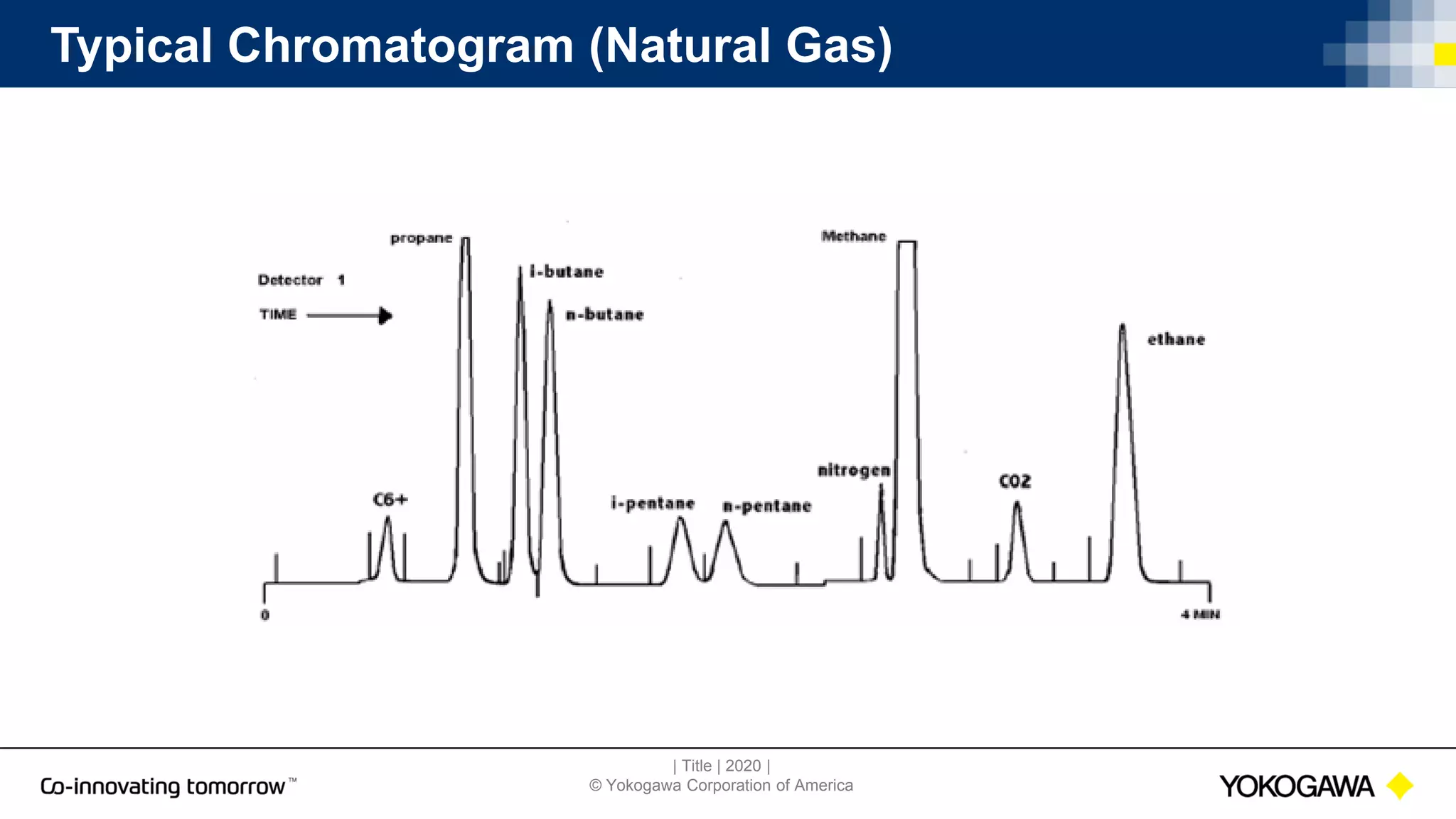 | Title | 2020 |
© Yokogawa Corporation of America
Typical Chromatogram (Natural Gas)
 