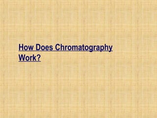 How Does Chromatography 
Work? 
 