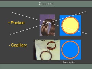Gas chromatography-mass spectrometry (GC-MS)-an introduction | PPTX