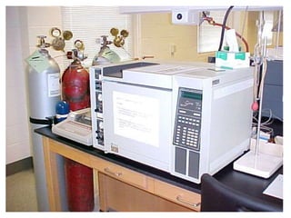 Gas chromatography print this