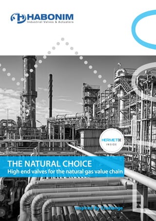 THE NATURAL CHOICE
High end valves for the natural gas value chain
Inspired By Challenge
 