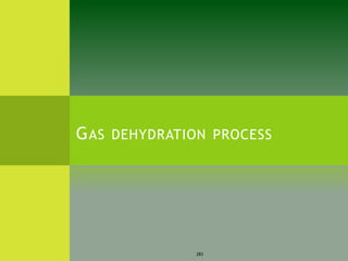 GAS DEHYDRATION PROCESS
283
 