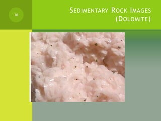 SEDIMENTARY ROCK IMAGES
(DOLOMITE)
30
 