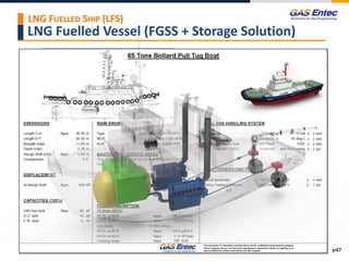 LNG Fuelled Vessel (FGSS + Storage Solution)
LNG FUELLED SHIP (LFS)
p47
 