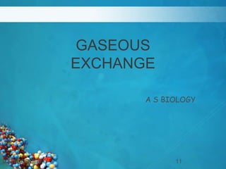 GASEOUS
EXCHANGE
A S BIOLOGY
LIGHT ACADEMY 11M.R.NJOROGE
 
